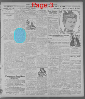 Page thumbnail for The Topeka State Journal