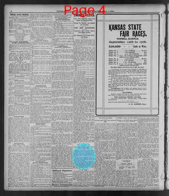 Page thumbnail for The Topeka State Journal