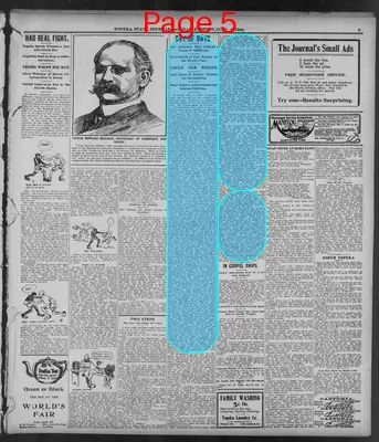 Page thumbnail for The Topeka State Journal