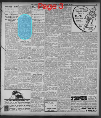 Page thumbnail for The Topeka State Journal