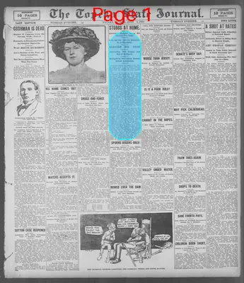Page thumbnail for The Topeka State Journal