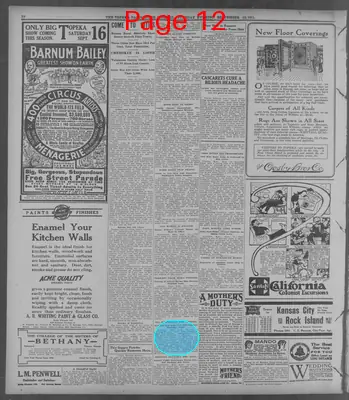 Page thumbnail for The Topeka State Journal
