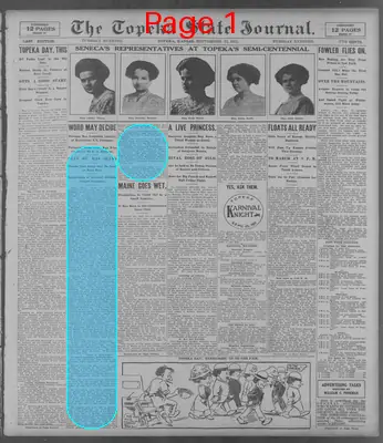 Page thumbnail for The Topeka State Journal