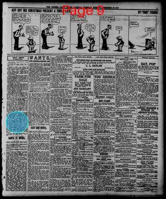 Page thumbnail for The Topeka State Journal