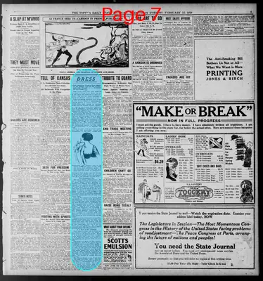 Page thumbnail for The Topeka State Journal