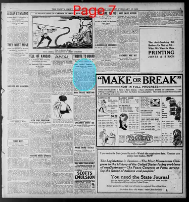 Page thumbnail for The Topeka State Journal
