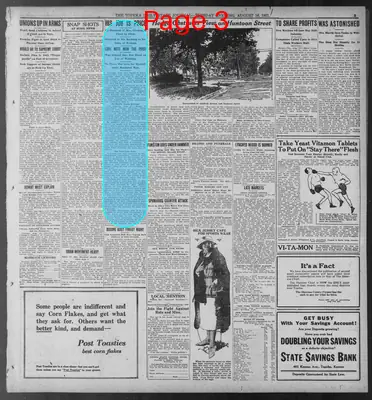Page thumbnail for The Topeka State Journal