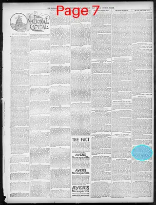 Page thumbnail for The National Tribune