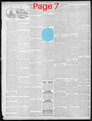 Page thumbnail for The National Tribune