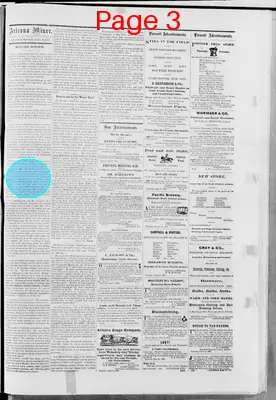 Page thumbnail for Arizona Miner