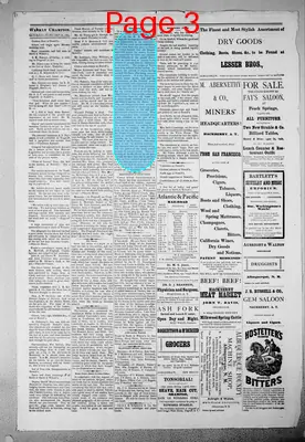 Page thumbnail for The Arizona Champion