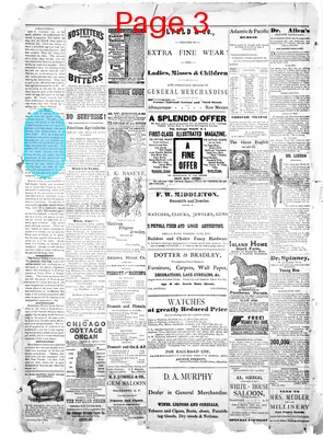 Page thumbnail for The Arizona Champion