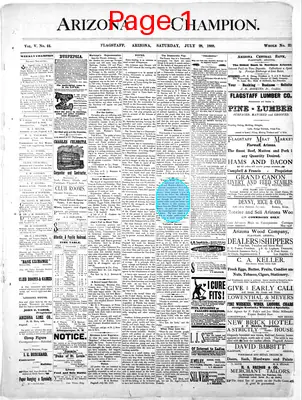 Page thumbnail for The Arizona Champion