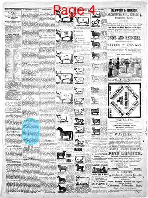 Page thumbnail for The Arizona Champion