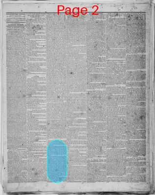 Page thumbnail for Evansville Weekly Journal