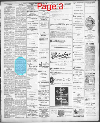 Page thumbnail for Washington Sentinel