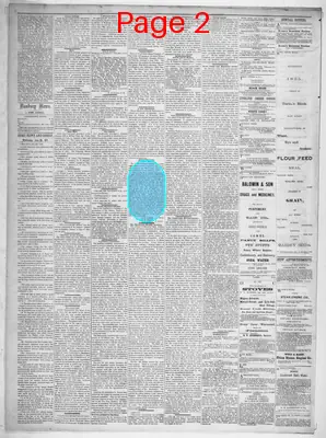 Page thumbnail for The Danbury News