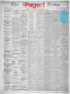 Page thumbnail for The Danbury News