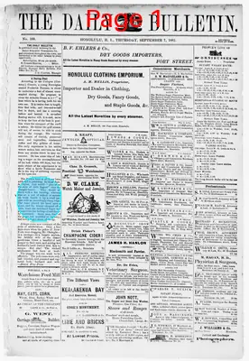 Page thumbnail for The Daily Bulletin