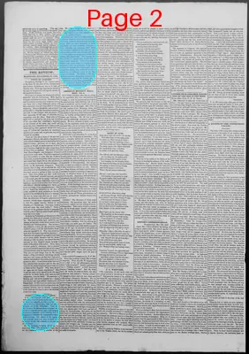 Page thumbnail for The New England Weekly Review