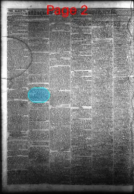 Page thumbnail for Arkansas State Gazette