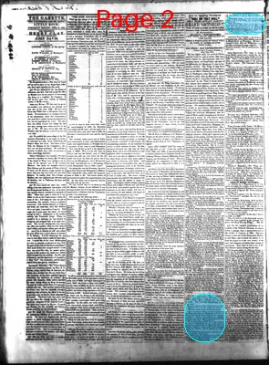 Page thumbnail for Arkansas State Gazette