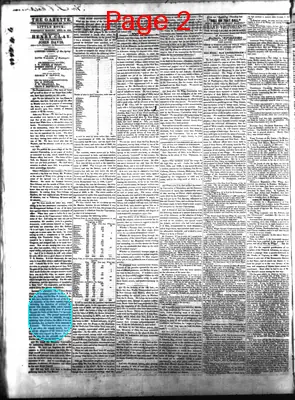 Page thumbnail for Arkansas State Gazette