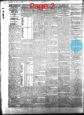 Page thumbnail for Arkansas State Gazette