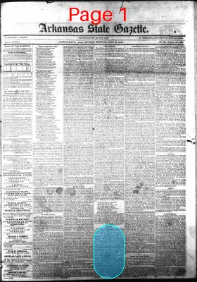 Page thumbnail for Arkansas State Gazette