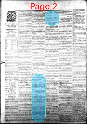 Page thumbnail for Arkansas State Gazette