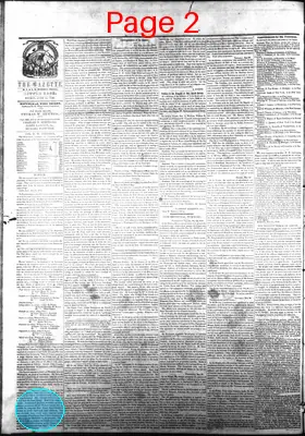 Page thumbnail for Arkansas State Gazette