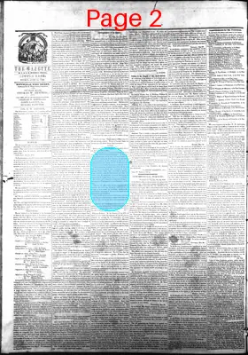 Page thumbnail for Arkansas State Gazette