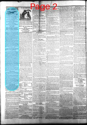 Page thumbnail for Arkansas State Gazette