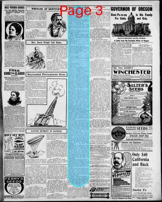Page thumbnail for The Saratoga Sun