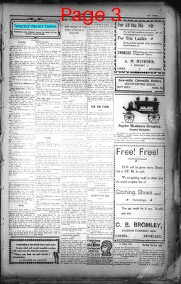 Page thumbnail for The Big Sandy News