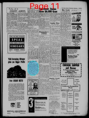 Page thumbnail for The Sidney Herald