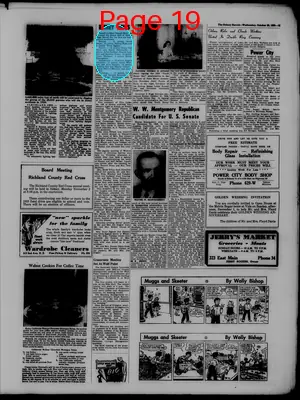 Page thumbnail for The Sidney Herald