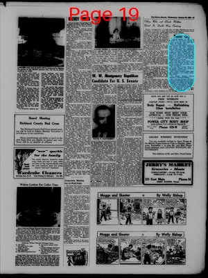 Page thumbnail for The Sidney Herald