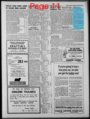 Page thumbnail for The Sidney Herald
