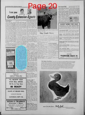 Page thumbnail for The Sidney Herald