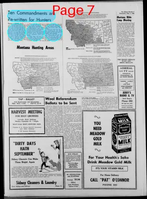 Page thumbnail for The Sidney Herald
