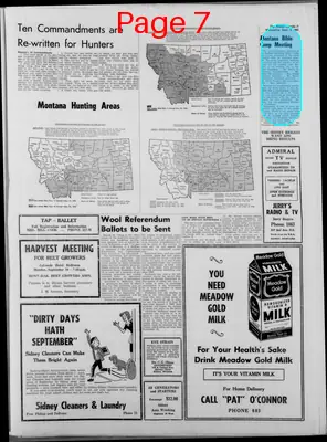 Page thumbnail for The Sidney Herald
