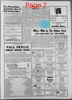 Page thumbnail for The Sidney Herald