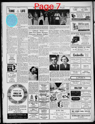 Page thumbnail for The Catholic Times