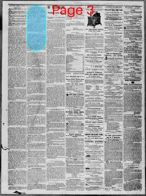 Page thumbnail for The Portland Daily Press