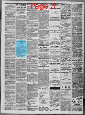 Page thumbnail for The Portland Daily Press