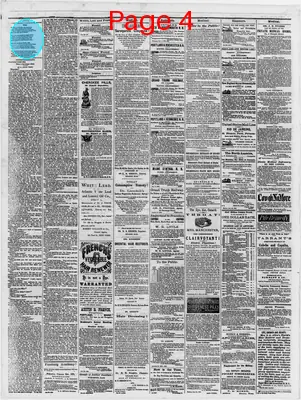 Page thumbnail for The Portland Daily Press