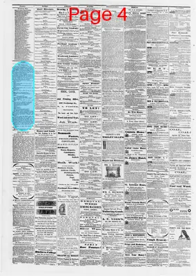 Page thumbnail for The Portland Daily Press