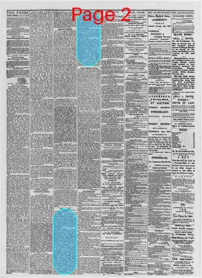 Page thumbnail for The Portland Daily Press