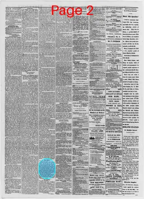 Page thumbnail for The Portland Daily Press